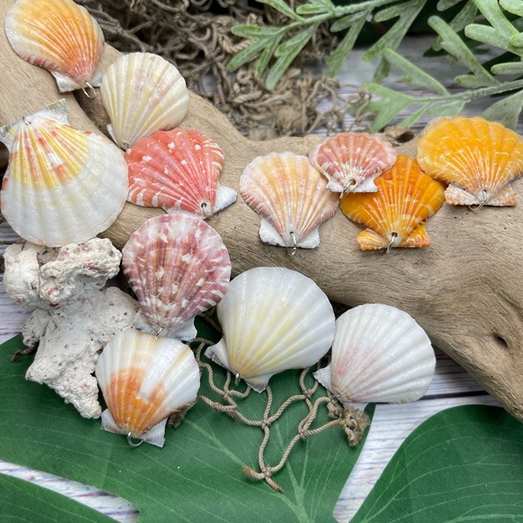 REAL Seashells Scallop Shells Pendants /Charms Lot with silver tone jump rings - Picture 10 of 16